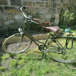 Achielle Vélo Hollandais Vert Forêt