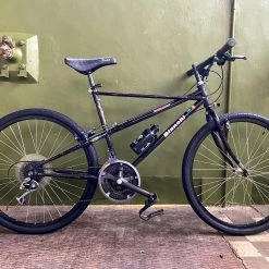 VTT Bianchi Thomisus